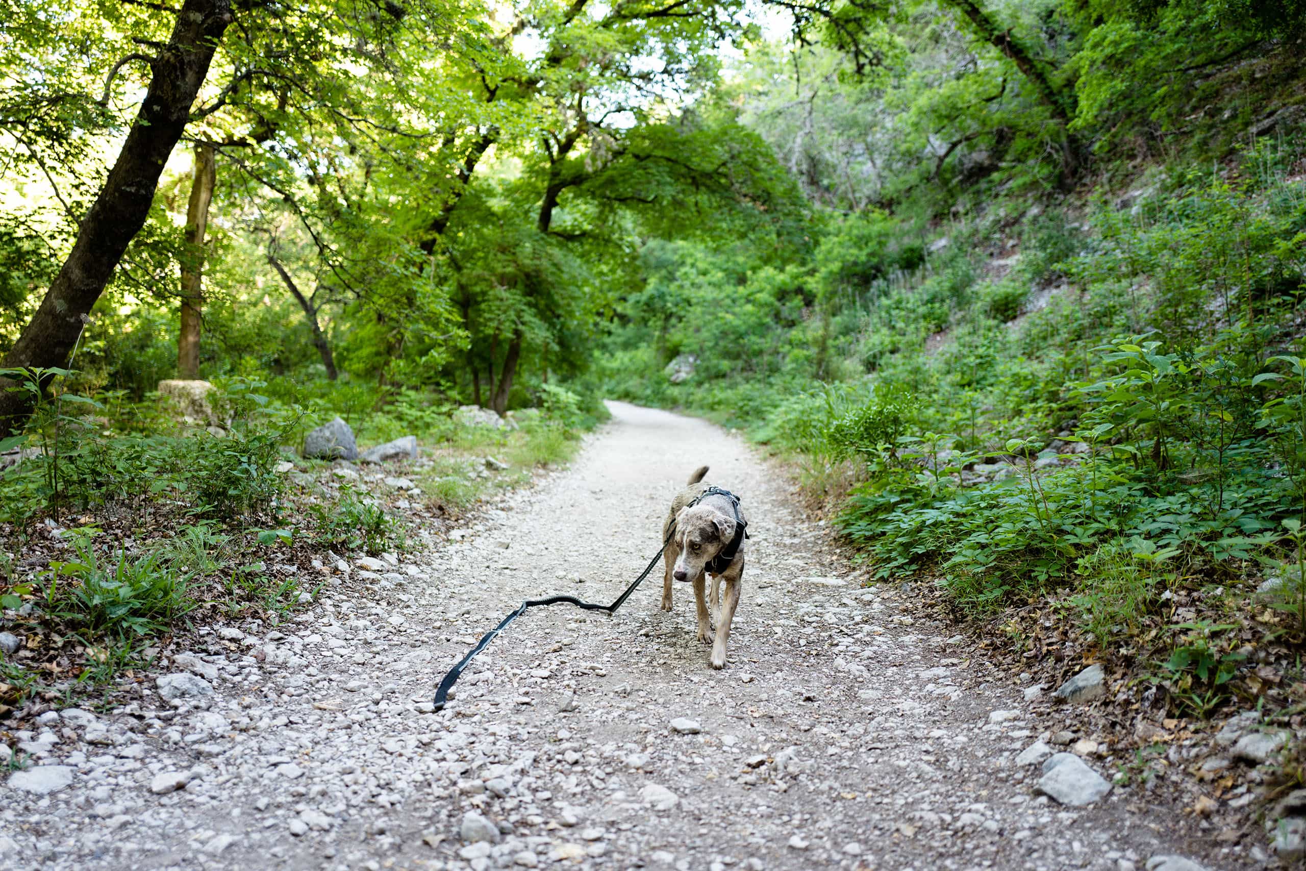 Can You Walk 16 Miles In A Day